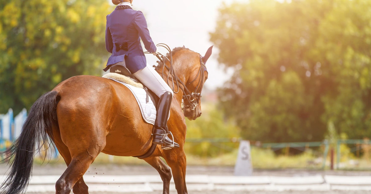 Rider practicing horseback riding at Aley Equi Club surrounded by green hills in Aley, Lebanon