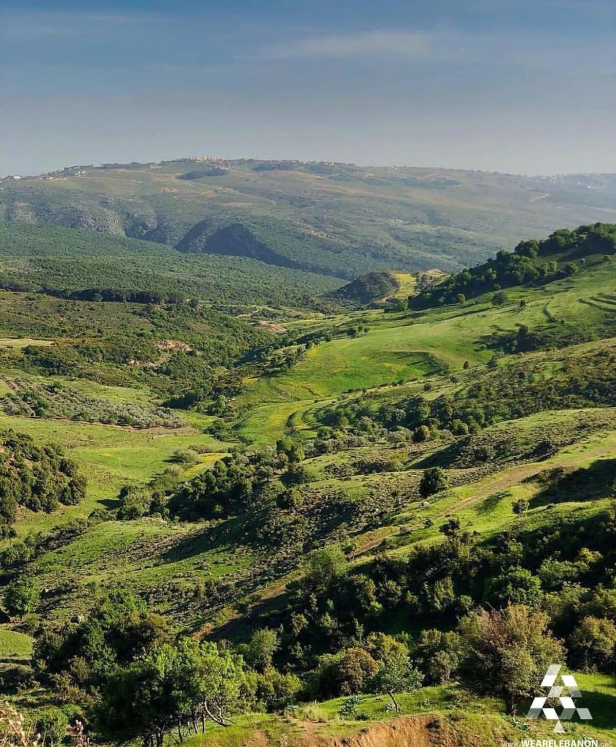Rolling green hills and forested valleys in the countryside of Nabatieh, southern Lebanon, under a clear blue sky