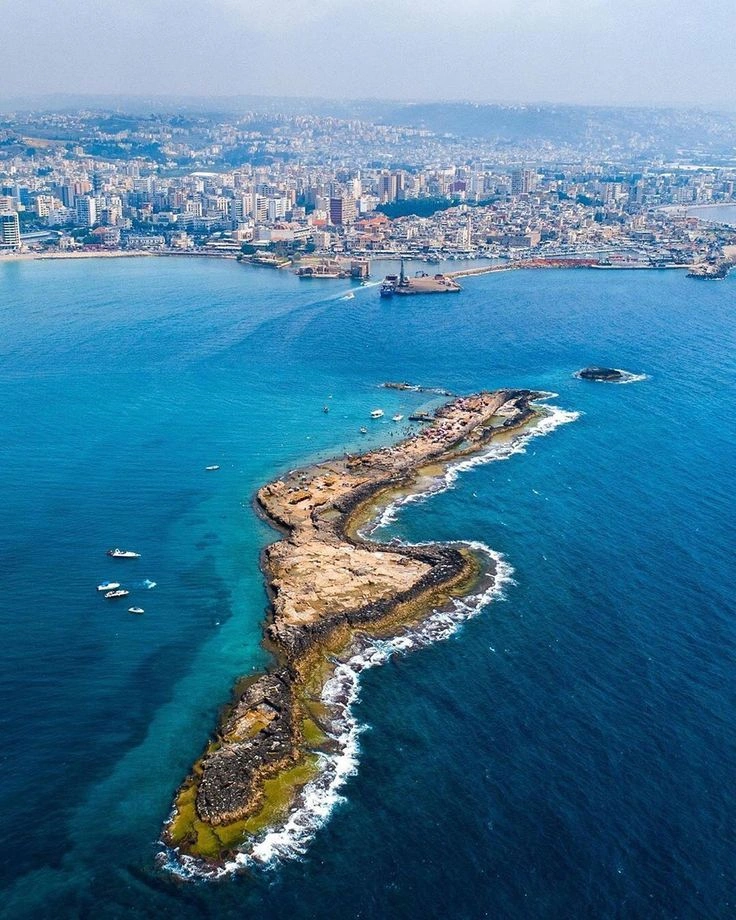 Palm-lined seaside promenade along Saida corniche overlooking the Mediterranean